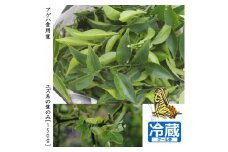 ＜すだ農園＞アゲハ 食用葉 (食樹)◇ ユズ 系の葉のみ《150g入》 冷蔵便 ｜ 蝶 幼虫 餌 ※北海道・沖縄・離島への配送不可 ※2025年6月中旬～9月下旬頃に順次発送予定