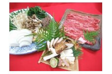 [先行予約]期間・数量限定 亀岡牛上ロース すき焼き と『丹波松茸』セット4～5人前（焼松茸用柚子しょうゆ付）＜丹波四季菜料理 宮本屋＞｜亀岡牛 松茸 丹波松茸 天然松茸 ※2025年10月中に順次発送予定　※配送不可地域あり
