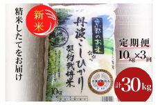 【毎月1回お届け】【定期便】予約 令和7年産 新米 京都丹波米 こしひかり10kg×3回 計30kg● 米 3ヶ月 白米 3回定期便 ※精米したてをお届け コシヒカリ 新米定期便 精米定期便 こしひかり米定期便 京都丹波米定期便 令和7年産米定期便 白米定期便 米定期便 定期購入 ※毎月1回又は2カ月に1回 ※北海道・沖縄・離島への配送不可 ※2025年9月中旬以降順次発送(初回分)