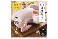 【訳あり 緊急支援】地鶏 丹波黒どり 丸どり 中抜き 丸1羽 約2.5kg＜京都亀岡丹波山本＞業務用 特大サイズ《特別返礼品 鶏肉 丸ごと 1羽》◇