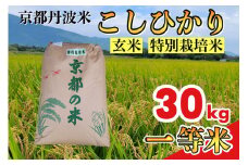 玄米 30kg 京都丹波米 こしひかり◇《米 一等米 コシヒカリ 特別栽培米 減農薬 玄米京都丹波米 玄米こしひかり 玄米一等米 米京都丹波米 米こしひかり 米一等米 こめ コメ玄米 げんまい 米 こしひかり 減農薬 白米 精米 胚芽米 分づき米 農家直送 新米 古米 30キロ 》※北海道・沖縄・離島への配送不可