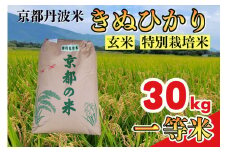 玄米 30kg 京都丹波米 きぬひかり◇《米 一等米 キヌヒカリ 特別栽培米 減農薬 玄米 玄米きぬひかり 玄米30kg 米きぬひかり 米京都丹波米 きぬひかり30kg 京都丹波米玄米 京都丹波米 特別栽培米玄米 特別栽培米 減農薬玄米 減農薬米 こめ コメ 産地直送 げんまい 玄まい きぬひかり 米 減農薬  》※北海道・沖縄・離島への配送不可