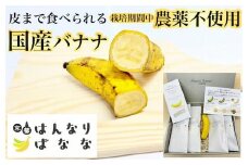 国産バナナ 5本セット 皮まで食べられる 『京都はんなりばなな』《栽培期間中農薬不使用 京都初 亀岡産 希少》
※離島への配送不可