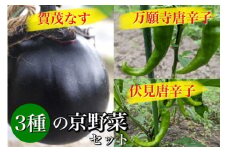 京夏野菜セット 京都・亀岡産　万願寺唐辛子 賀茂なす 伏見唐辛子《栽培期間中農薬不使用 有機 京野菜 夏野菜》
※北海道・沖縄・離島への配送不可