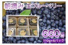 【訳あり】＜すだ農園＞栽培期間中農薬不使用 朝摘み ブルーベリー 生果実【小粒・中粒 ふぞろい】660g ｜ 旬 果実 新鮮 フルーツ ※2025年8月上旬～9月初旬頃に順次発送予定 ※北海道・沖縄・離島への発送不可