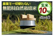 米 令和6年産 自然栽培米 にこまる ＜農薬を一切使わない無肥料栽培＞ 玄米 10kg（5kg×2袋） 《米 京都丹波産 無農薬米栽培向き 厳選品種》