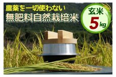 米 令和6年産 自然栽培米 にこまる ＜農薬を一切使わない無肥料栽培＞ 玄米 5kg 《米 京都丹波産 無農薬米栽培向き 厳選品種》