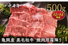 【7営業日以内発送】数々の誉れに輝く最高峰 黒毛和牛「平井牛」A5・A4 焼肉用 霜降り 500g 京都 丹波牧場 自家産≪三角バラ・トモバラ・カルビ・カイノミ・ミスジ 希少 和牛 京都肉 冷凍 真空 BBQ キャンプ≫