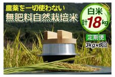 米 定期便 令和6年産 自然栽培米 にこまる ＜農薬を一切使わない無肥料栽培＞ 白米 3kg×6ヶ月 18kg（精米したて） 《新米 京都丹波産 無農薬米栽培向き 厳選品種 6回お届け》