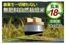 米 定期便 令和6年産 自然栽培米 にこまる ＜農薬を一切使わない無肥料栽培＞ 玄米 3kg × 6ヶ月 18kg 《新米 京都丹波産 無農薬米栽培向き 厳選品種 6回お届け》