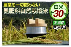 米 定期便 令和6年産 自然栽培米 にこまる ＜農薬を一切使わない無肥料栽培＞ 白米 5kg×6ヶ月 30kg（精米したて） 《新米 京都丹波産 無農薬米栽培向き 厳選品種 6回お届け》