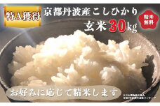米 令和5年産 京都 丹波産 こしひかり 玄米 30kg｜5つ星お米マイスター 厳選 受注精米可 ※離島への配送不可