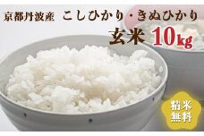 令和6年産 新米 先行予約  京都 丹波産 きぬひかり・こしひかりセット 玄米 10kg｜5つ星お米マイスター 厳選 受注精米可 ※離島への配送不可※2024年9月下旬以降順次発送予定