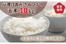 令和6年産 新米 先行予約  京都 丹波産 きぬひかり 玄米 10kg（5kg×2袋）｜5つ星お米マイスター 厳選 受注精米可 ※離島への配送不可※2024年9月下旬以降順次発送予定