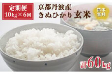 【定期便】令和6年産 新米 先行予約  京都 丹波産 きぬひかり 玄米 10kg（5kg×2袋）6回 計60kg｜5つ星お米マイスター 厳選 受注精米可 隔月発送も可 ※離島への配送不可※2024年9月下旬以降順次発送予定