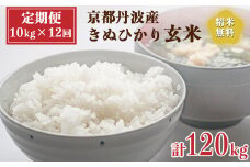 【定期便】令和6年産 新米 先行予約  京都 丹波産 きぬひかり 玄米 10kg（5kg×2袋）12回 計120kg｜5つ星お米マイスター 厳選 受注精米可 隔月発送も可 ※離島への配送不可※2024年9月下旬以降順次発送予定