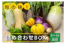 旬の味！お野菜 詰め合わせ BOX 8～10品目（栽培期間中 農薬・化学肥料不使用）
【めぐる農園】京都 亀岡 京野菜 農家より直送
