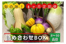 【6回定期便】旬の味！お野菜 詰め合わせBOX 8～10品目×6回（栽培期間中 農薬・化学肥料不使用）
【めぐる農園】京都 亀岡 京野菜 農家より直送