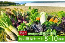 かたもとオーガニックファームの農業研修生が無農薬・自然栽培で育てたお野菜セット 8～10品目 ≪産地直送 朝採れ 新鮮 京野菜 京都府 亀岡産 ≫