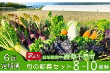 【6回定期便】かたもとオーガニックファームの農業研修生が無農薬・自然栽培で育てたお野菜セット 8～10品目 ≪産地直送 朝採れ 新鮮 京野菜 京都府 亀岡産 ≫