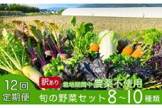 【12回定期便】かたもとオーガニックファームの農業研修生が無農薬・自然栽培で育てたお野菜セット 8～10品目 ｜ 産地直送 朝採れ 新鮮 京野菜 京都府 亀岡産