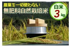 米 令和6年産 自然栽培米 にこまる ＜農薬を一切使わない無肥料栽培＞ 白米 3kg（精米したて） 《米 京都丹波産 無農薬米栽培向き 厳選品種》