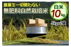 米 令和6年産 自然栽培米 にこまる ＜農薬を一切使わない無肥料栽培＞ 白米 10kg（5kg×2袋 精米したて） 《米 京都丹波産 無農薬米栽培向き 厳選品種》