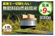 【3回定期便】自然栽培米 にこまる ＜農薬を一切使わない無肥料栽培＞ 玄米 3kg × 3ヶ月 計9kg《令和6年産 新米 京都丹波産 無農薬米栽培向き 厳選品種》