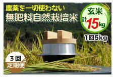 【3回定期便】自然栽培米 にこまる ＜農薬を一切使わない無肥料栽培＞ 玄米 5kg × 3ヶ月 計15kg《令和6年産 新米 京都丹波産 無農薬米栽培向き 厳選品種》