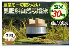 【3回定期便】自然栽培米 にこまる ＜農薬を一切使わない無肥料栽培＞ 玄米 10kg × 3ヶ月 計30kg《令和6年産 新米 京都丹波産 無農薬米栽培向き 厳選品種》