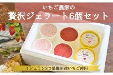 いちごよりいちごを感じるジェラート＆季節のおすすめ 6個入り