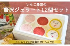 いちごよりいちごを感じるジェラート＆季節のおすすめ 12個入り
