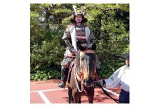 第52回亀岡光秀まつり（令和7年5月3日（祝）開催）「光秀公武者行列」明智 治右衛門役 参加権 ※2025年1月下旬頃より発送予定