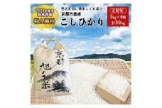 令和7年産 コシヒカリ 先行予約 米 定期便 5kg 6回 計30kg丹波 亀岡産 「京都 旭のお米」なごみの里あさひ 米 新米 白米 精米 ※北海道・沖縄・離島へのお届け不可※2025年9月下旬以降順次発送
