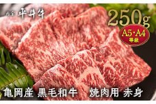 【7営業日以内発送】数々の誉れに輝く最高峰 黒毛和牛「平井牛」A5・A4 焼肉用 赤身 250g 京都 丹波牧場 自家産≪ウチヒラ・マル・イチボ・ランプ・ウチモモ・シンタマ 希少 和牛 京都肉 冷凍 真空 BBQ キャンプ≫