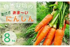 人参 8kg【期間限定】自然栽培の甘い 葉付き人参 京都府・亀岡産 かたもとオーガニックファームよりお届け 《訳あり サイズ不揃い にんじん 国産 京都産 栽培期間中農薬不使用 産地直送》 ※2025年1月～6月頃に順次発送 ※離島への発送不可