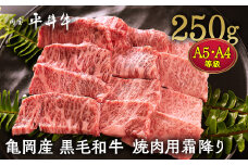 【7営業日以内発送】数々の誉れに輝く最高峰 黒毛和牛「平井牛」A5・A4 焼肉用 霜降り 250g 京都 丹波牧場 自家産≪三角バラ・トモバラ・カルビ・カイノミ・ミスジ 希少 和牛 京都肉 冷凍 真空 BBQ キャンプ≫