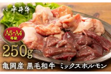 【7営業日以内発送】平井牛 ミックスホルモン 250g＜京都丹波牧場＞亀岡産黒毛和牛 自家産 ｜ ホルモン・レバー・ハツ・小腸・大腸・赤セン・センマイ・ギアラ 希少 A5・A4 和牛 国産 ホルモン 冷凍 送料無料