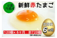 【6回定期便】新鮮 卵 京都・丹波の赤たまご 120個（100個＋割れ保証20個）×6ヶ月 計720個 《生卵 たまご タマゴ 卵 玉子 鶏卵 小分け 半年間 新鮮卵定期便 赤たまご定期便 丹波卵定期便 鶏卵定期便 玉子定期便 タマゴ定期便 卵定期便 たまご定期便 卵ていき便 卵定期 卵定期購入 生卵定期便 卵玉子 定期便 卵タマゴ 卵てい期便 テイキ便 定期購入》※北海道・沖縄・離島への配送不可