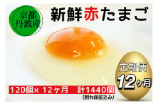 【12回定期便】新鮮 卵 京都・丹波の赤たまご 120個（100個＋割れ保証20個）×12ヶ月 計1440個 《生卵 たまご タマゴ 卵 玉子 鶏卵 小分け 1年間》※北海道・沖縄・離島への配送不可