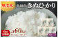 【定期便】亀岡そだちキヌヒカリ【無洗米】真空パック10kg