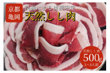 【期間限定】丹波亀岡 天然しし肉 セット 500g《ロース もも 焼肉 BBQ バーベキュー ぼたん鍋 すき焼き 豬 猪肉 ジビエ》