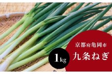 九条ねぎ 1kg《ネギ ねぎ 葱 長ネギ 長ねぎ 青ネギ 青ねぎ 根きり 京都 伝統野菜 京野菜》 