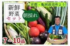 《価格改定》新鮮 旬の野菜セット 7～10品目 京都 佐伯の里 | 京都丹波・亀岡産 季節の野菜詰め合わせ 朝採れ 直送 訳あり 新鮮野菜セット 旬野菜セット 訳あり野菜セット お試し野菜セット 京都野菜セット 佐伯の里野菜セット 京都丹波野菜セット 野菜 家計応援 生活応援 お試し《価格改定10000円→8000円》 ※北海道・沖縄・離島への配送不可