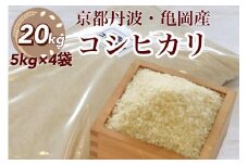 米 20kg（5kg×4袋）京都丹波産 コシヒカリ 白米＜JA京都 たわわ朝霧＞ 発送に合わせて精米