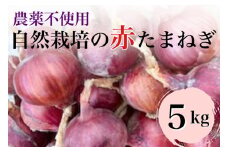 【先行予約】赤たまねぎ 5kg 京都府・亀岡産 自然栽培のかたもとオーガニックファームよりお届け ※2025年6月頃より順次発送予定 ※離島への発送不可