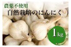 【2025年産】にんにく 1kg 京都府・亀岡産 自然栽培のかたもとオーガニックファームよりお届け ※離島への発送不可 ※2025年6月下旬～9月下旬頃に順次発送予定