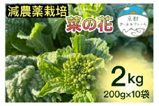 【来シーズン予約】菜の花 2kg（200g×10パック）京都府産【京都クーネルファーム】減農薬栽培 ※着日指定不可 ※2024年12月中旬～2025年1月下旬頃に順次発送予定