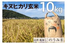 【令和7年産先行予約】米 キヌヒカリ 玄米 10kg〈アグリにのうみ〉京都・亀岡産《令和7年産》◇ ※北海道・沖縄・離島への配送不可 ※2025年10月中旬頃から順次発送予定
