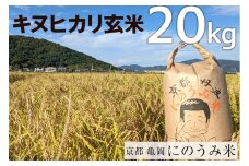 【令和7年産先行予約】米 キヌヒカリ 玄米 20kg〈アグリにのうみ〉京都・亀岡産《令和7年産》◇ ※北海道・沖縄・離島への配送不可 ※2025年10月中旬頃から順次発送予定